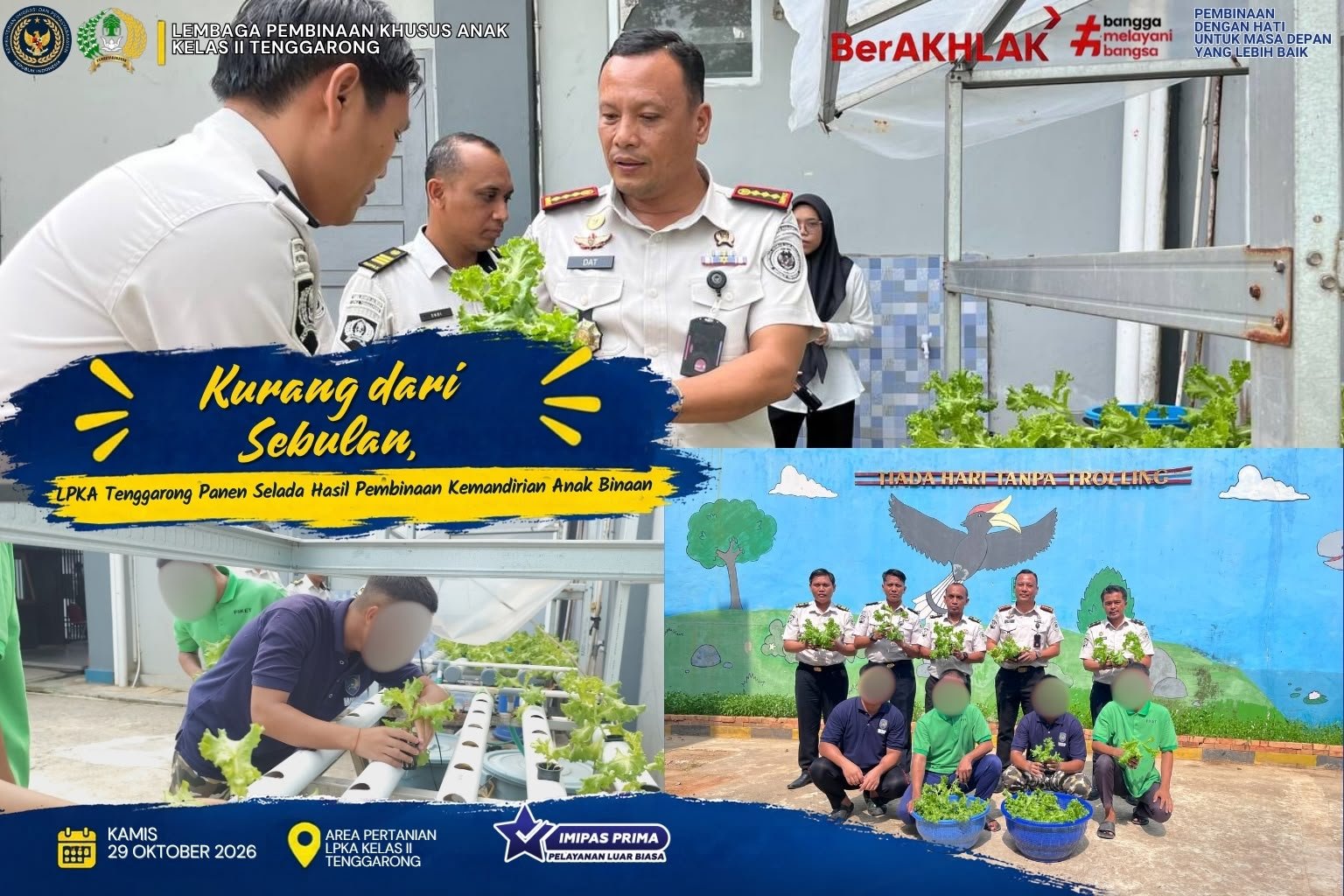 Kurang dari Sebulan, LPKA Tenggarong Panen Selada Hasil Pembinaan Kemandirian Anak Binaan