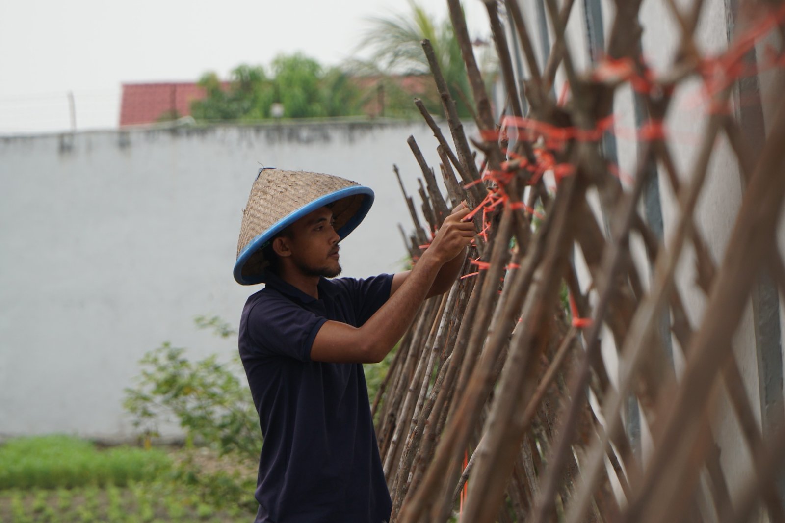 Konsisten Dukung Ketahanan Pangan, Lahan SAE Rutan Dumai Kembali Ditanami Kacang Panjang