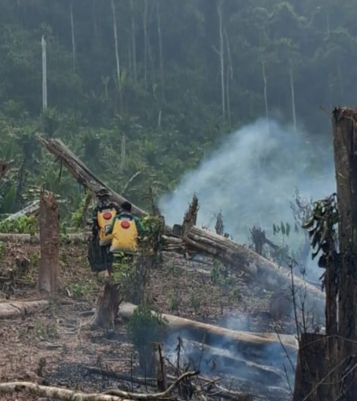 Karhutla Belum Sepenuhnya Padam, Personel Kodam XIX/Tuanku Tambusai Terus Berjibaku di Lapangan