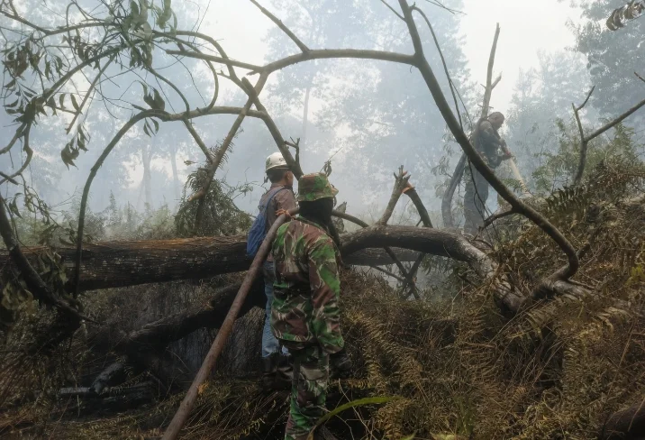 TNI dan Tim Gabungan Berjibaku Padamkan Karhutla di SM Kerumutan, 82 Hektare Berhasil Dikendalikan
