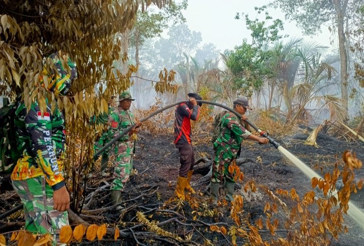 .Gambut Kering dan Minim Air Jadi Tantangan, Kodam XIX/Tuanku Tambusai Terus Tangani Karhutla