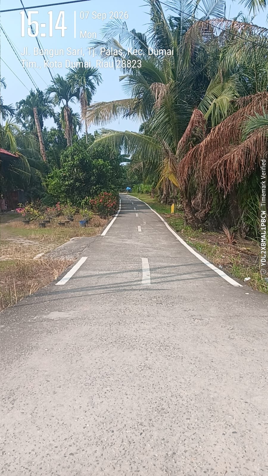 APBD untuk Marka di Gang Sempit? Publik Desak Dishub Dumai Buka-bukaan