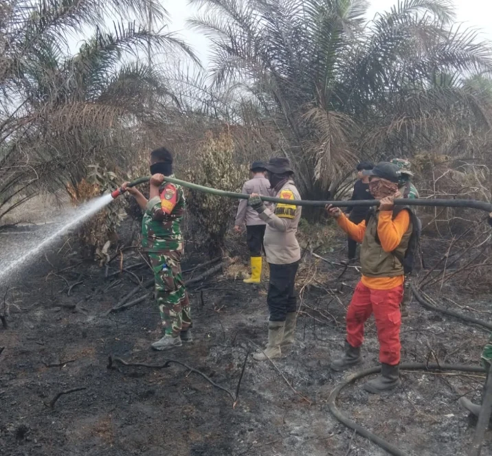 Karhutla Bakar 2 Hektare Lahan, Kodam XIX Tuanku Tambusai Perkuat Pemadaman